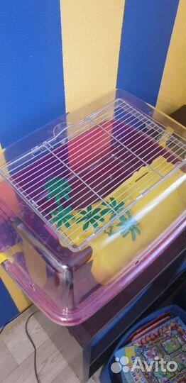 Террариум для красноухой черепахи