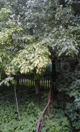 Дача 20 м² на участке 13 сот.