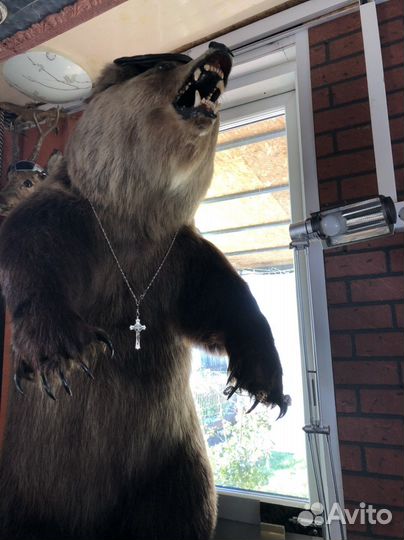 Искусственное чучело мишки