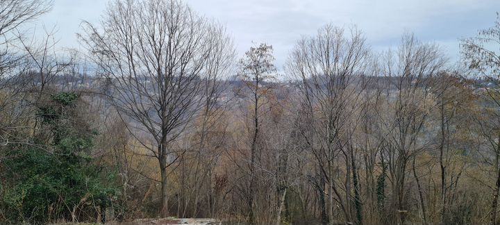 Участок 5,5 сот. (СНТ, ДНП)