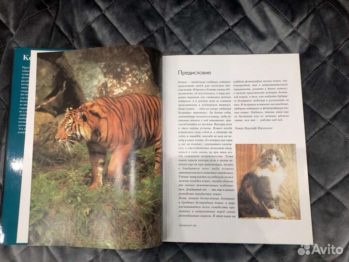 Книга про кошек
