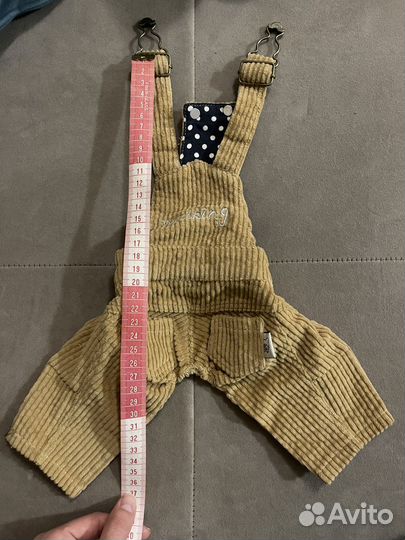 Одежда для собак мелких пород