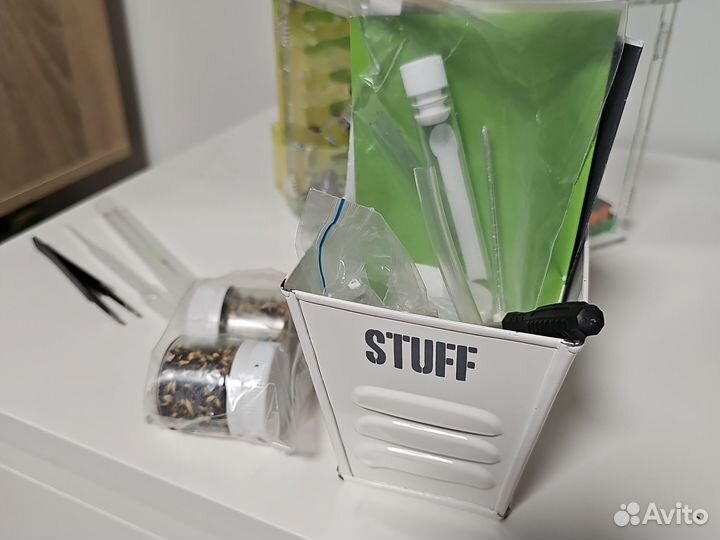 Муравьиная ферма + декор + корм + инструменты