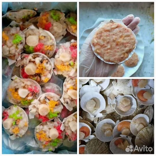 Морской гребешок в ассортименте