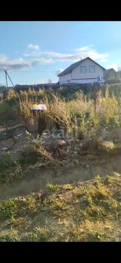 Участок 6 сот. (СНТ, ДНП)