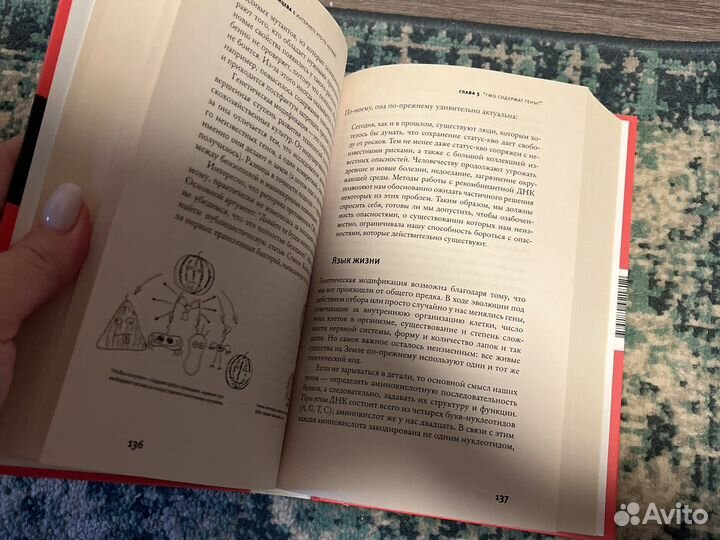 Казанцева в интернете кто-то неправ