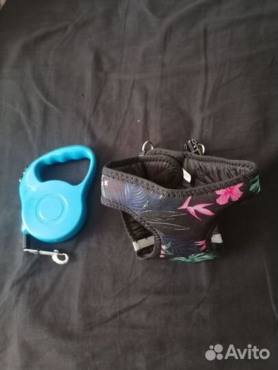 Шлейка и рулетка для собаки