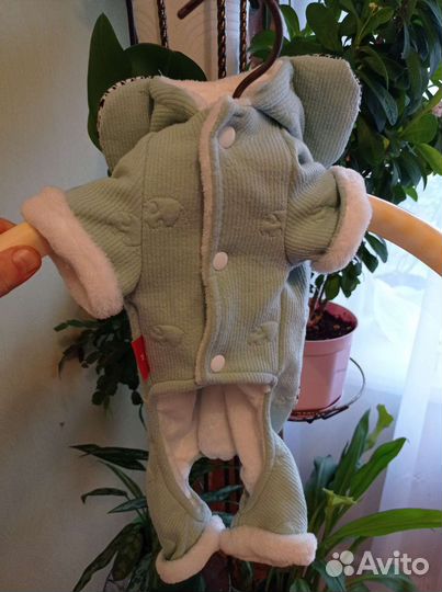 Одежда для собак мелких пород