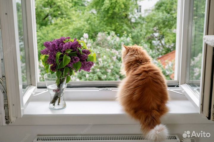 Пластиковые окна