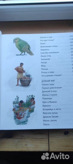 Энциклопедия. Большая книга знаний для детей