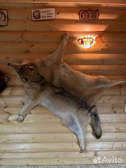 Шкура волка имитация