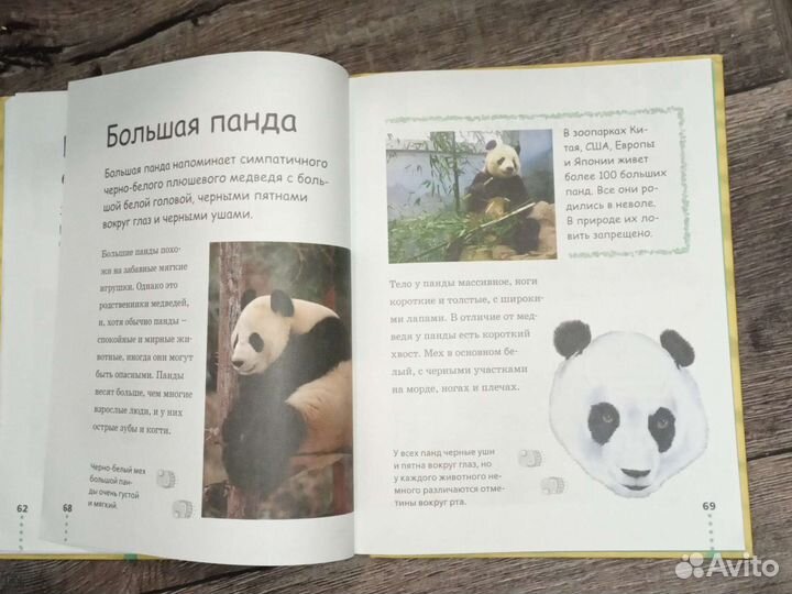 Энциклопедия прогулка по зоопарку шимпанзе панда