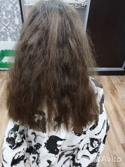 Полировка волос +питание маслом