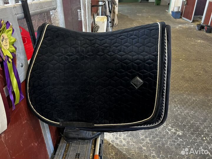 Вальтрап kentucky конкур