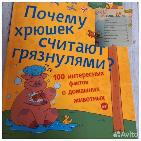 Развивающие книги в отличном состоянии