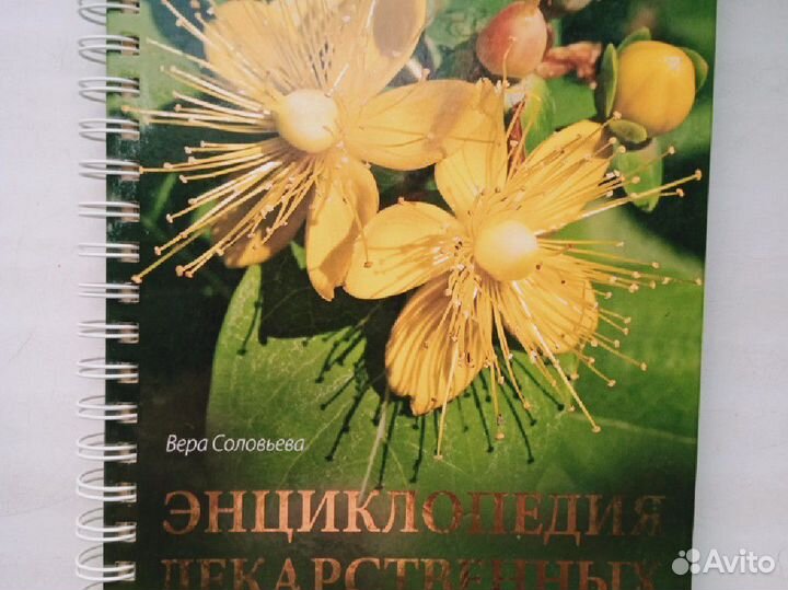 Энциклопедия лекарственных растений