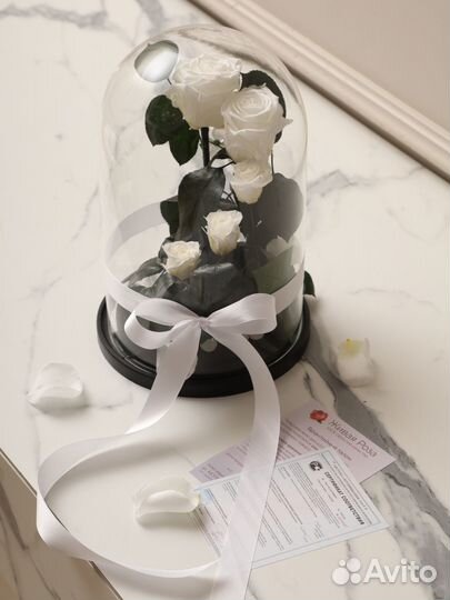 Роза в колбе оптом