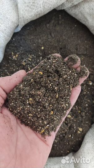 Жмых рапсовый 38