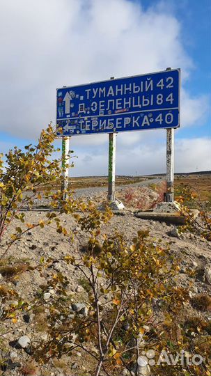 Держим курс на север: Териберка, Северное сияние