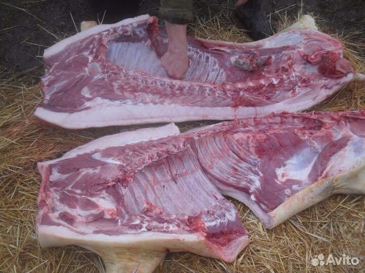 Свинина свежая