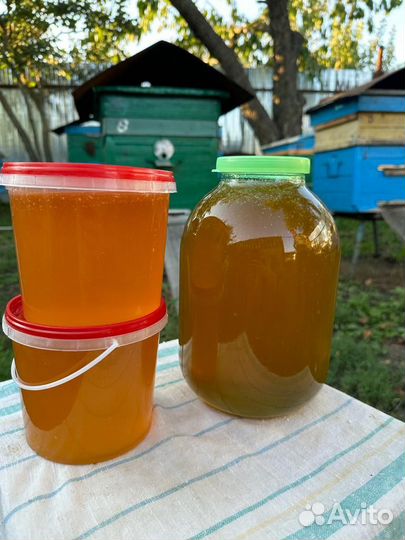 Мёд 2023 года(05.08.2023)