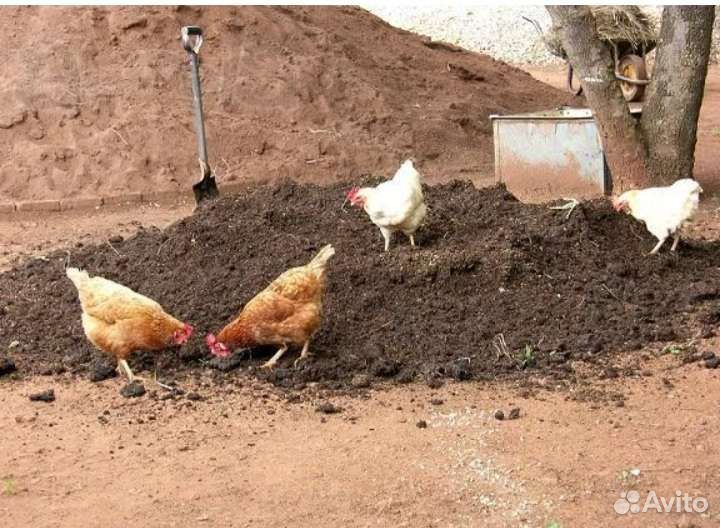 Доставка куриного чернозема в мешках