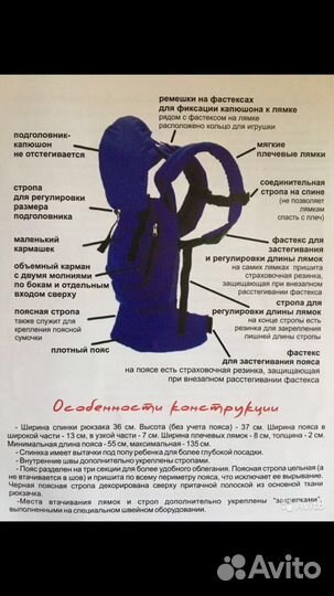 Кенгуру
