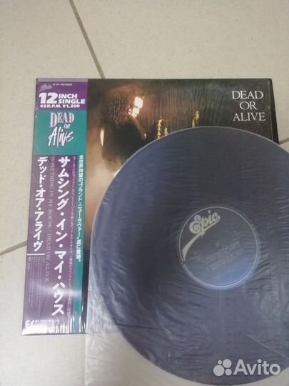 Deat or alive 4lp