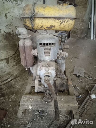 Спрут италия