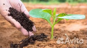 Плодородный грунт (соответствие всем стандартам)