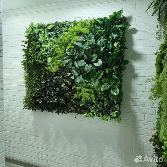 Фитостена вертикальное озеленение