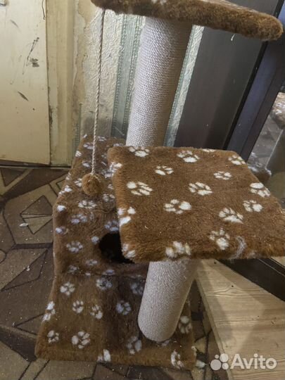 Когтеточка