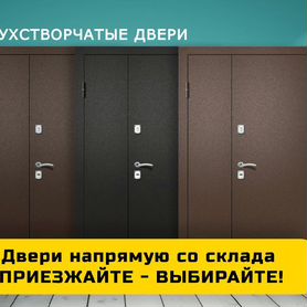 Двустворчатая металлическая уличная дверь