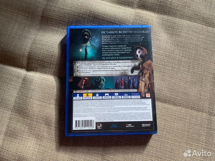 Игра PS4 The dark pictures: Little hope