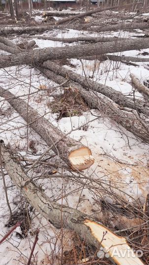 Лес кругляк на дрова