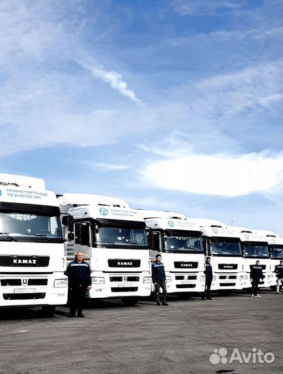 Требуется Водитель-Экспедитор категории Е