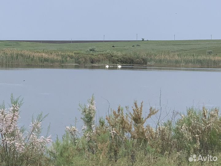 Животноводческая ферма