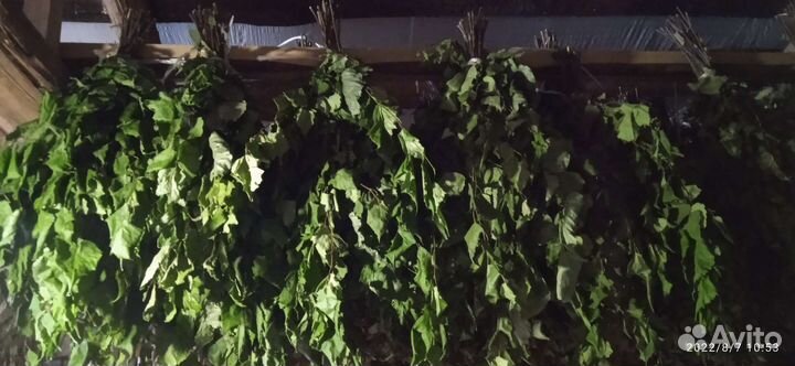 Веники для бани