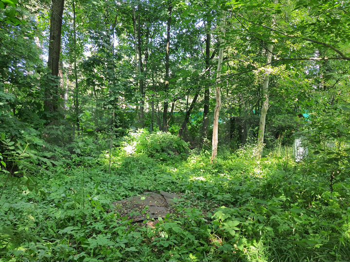 Участок 23 сот. (ИЖС)