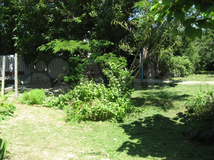 3-к. квартира, 81,8 м², 2/2 эт.