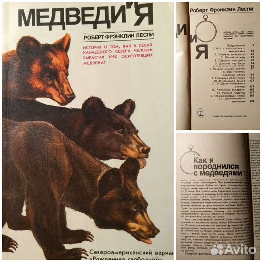 Всё о животных * Медведи и другие