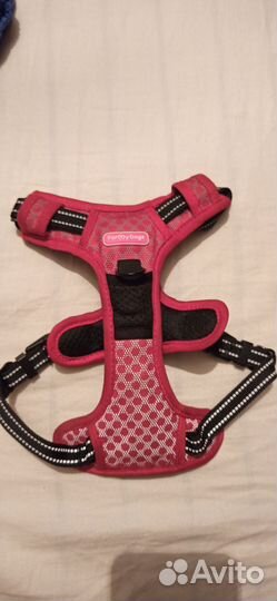 Шлейка ForMyDogs S