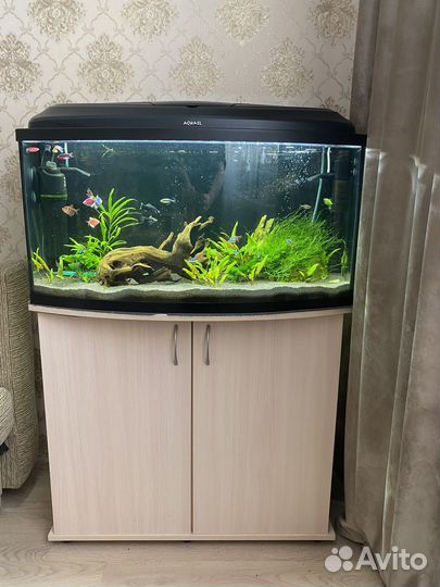 Аквариум