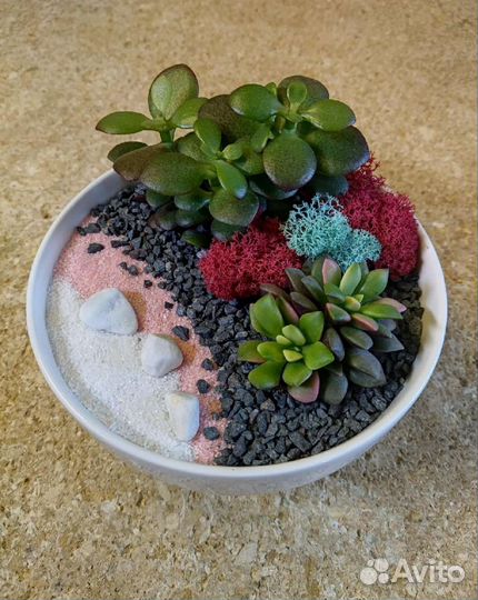 Цветочная композиция из суккулентов