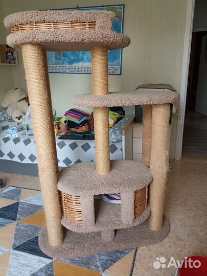 Когтеточка домик для кошки бу