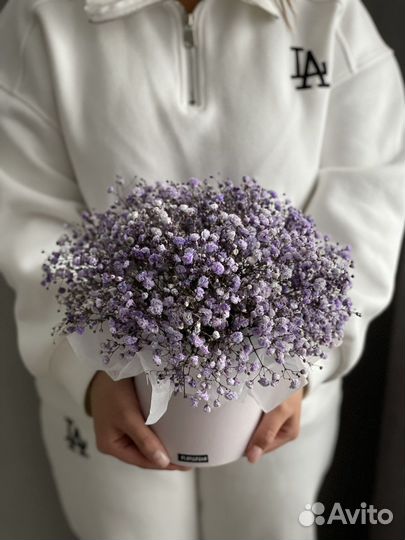 Гипсофила в коробке