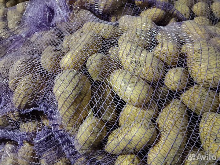 Продаёться домашний крупный картофель с доставкой