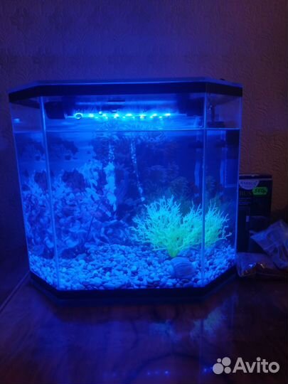 Аквариум