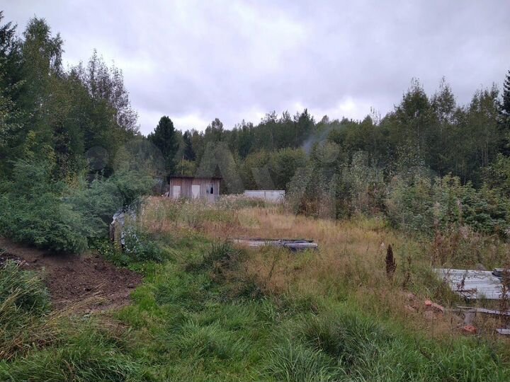 Участок 10 сот. (СНТ, ДНП)