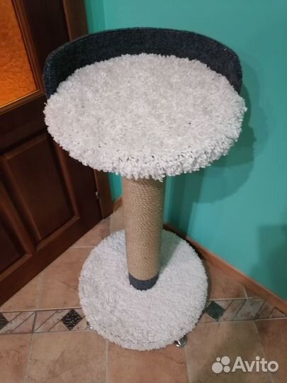 Товары для кошки